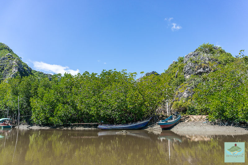 ล่องเรือเขาแดง