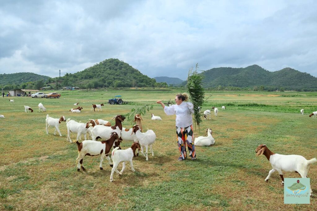 เขื่อนปราณบุรี